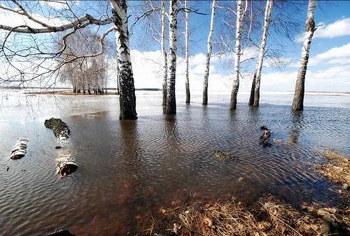 полов